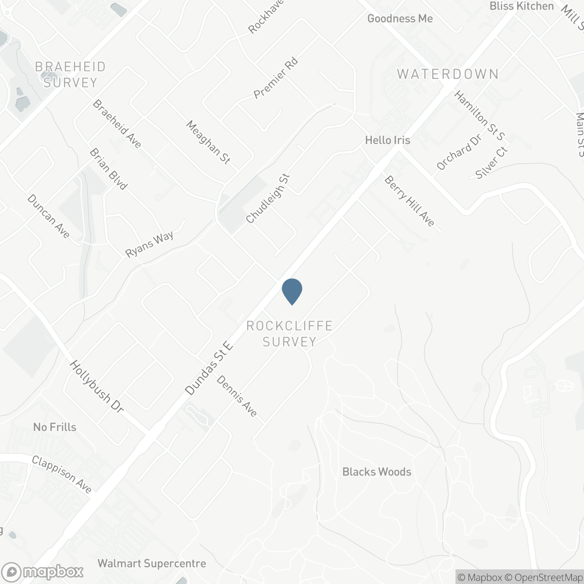 184 DUNDAS STREET E, Hamilton, Ontario L8N 2Z7